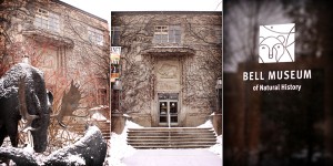 Evolution of Cooking Bell Museum