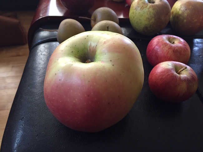 Heirloom-apples-20-ounce - The Heavy TableThe Heavy Table – Minneapolis ...