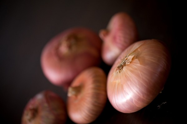 Cippolini Onions