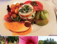 Collage of farm images, Columbus Ohio