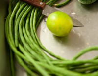 hmongvillagevertdetail