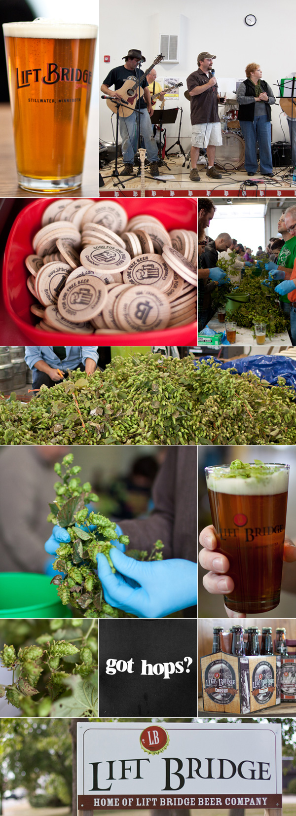 hops and beers from the Lift Bridge hops festival