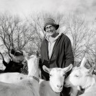 singing-hills-goat-dairy-reeck-topper