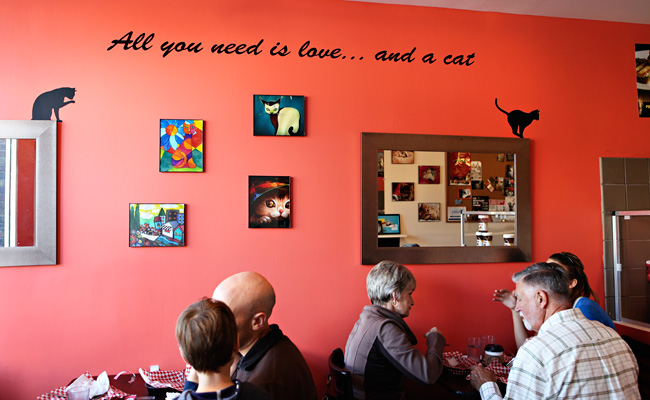 Kitty Corner Cafe in Stadium Village Minneapolis