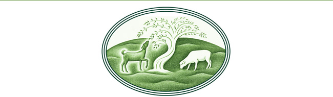 shepherd-song-tap-logo-final-keyline