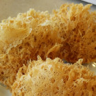 new-beijing-taro-balls-dim-sum