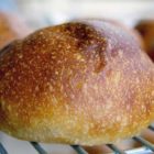 Hamburger Bun at Baker’s Field