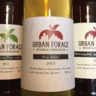 urban-forage-bottles