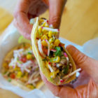 taco-cat-veggie